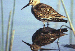 Doğa turizminde yetersiz