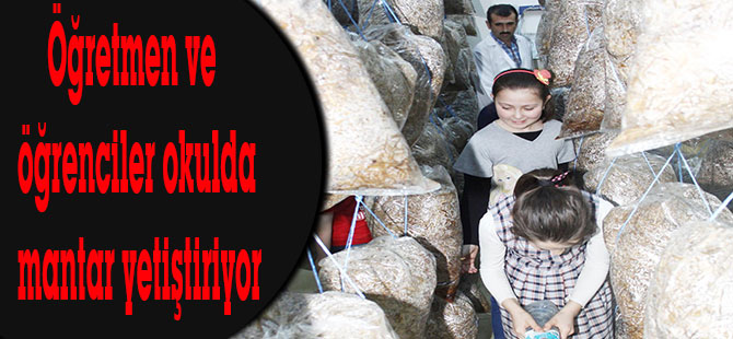 Öğretmen ve öğrenciler okulda mantar yetiştiriyor