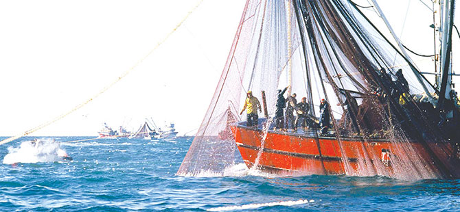 İç Sularda Av Yasağı Başlıyor