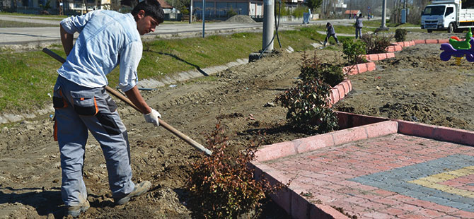 Terme’de yeşillendirme çalışmaları