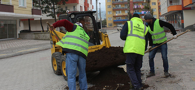 Tekkeköy yeşille bütünleşiyor