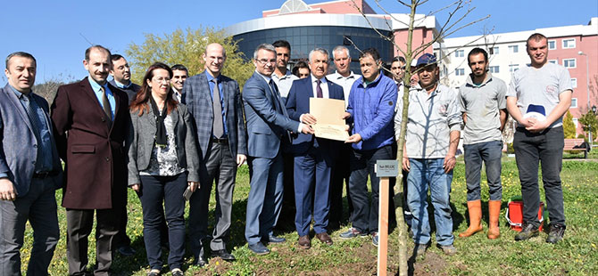 OMÜ’de Fidanlar Toprak ile Buluşuyor