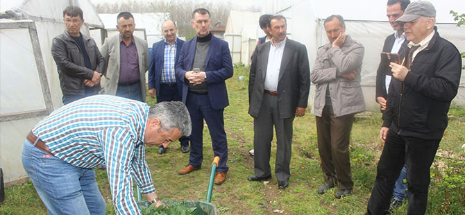 Çiftçilere "mikoriza" uygulaması anlatıldı