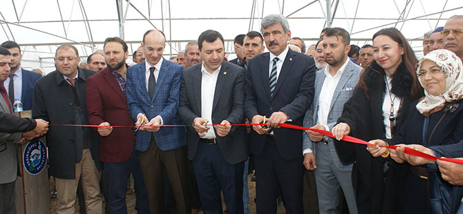 Vezirköprü'de Sera Açılışı