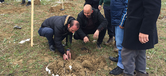 BAŞBUĞ TÜRKEŞ HATIRA ORMANI KURDU