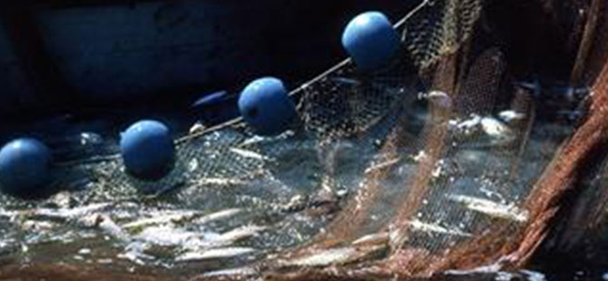 Balıkçılık av sezonu sona erdi