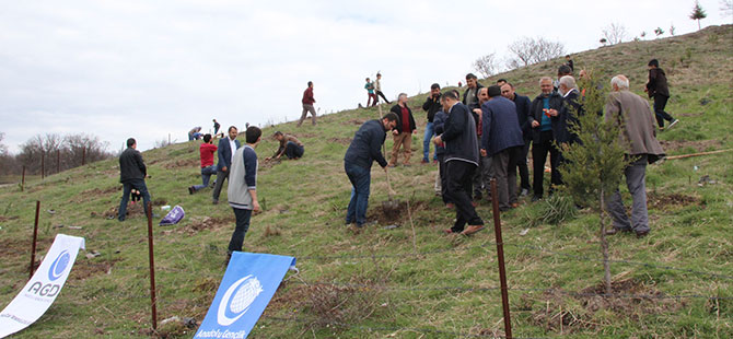 Havza'da Fidan Dikimi