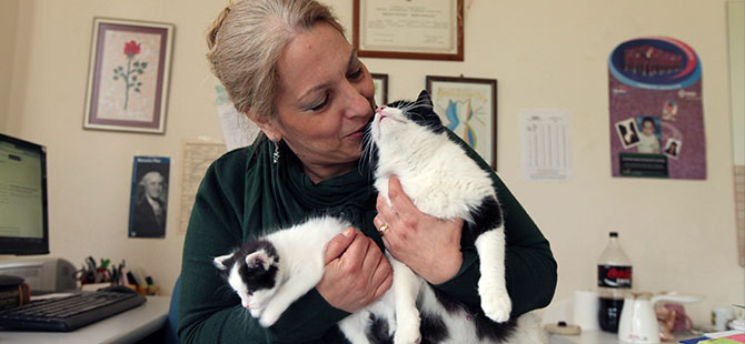 Fakültedeki odasında 3 kediyi misafir ediyor