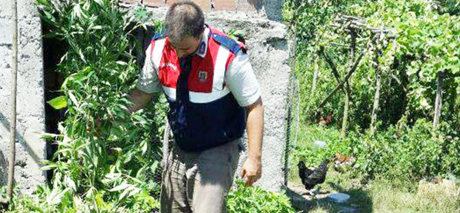 Samsun'da uyuşturucu operasyonu