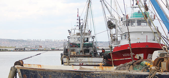 Karadenizli balıkçılar "çaça" avında
