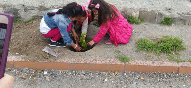 Minik Eller Yarınlar İçin Ağaç Dikti