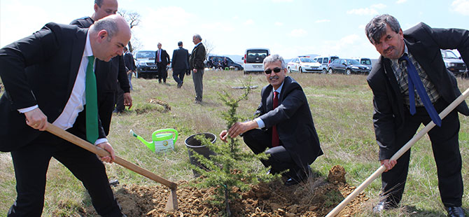Kavak Kaymakamlığından Hatıra Ormanı