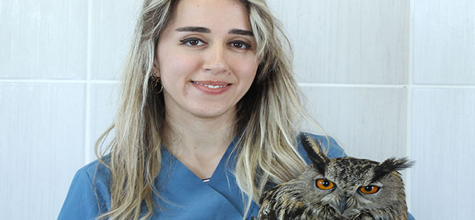 Puhuya "kuş cenneti"nde özel tedavi