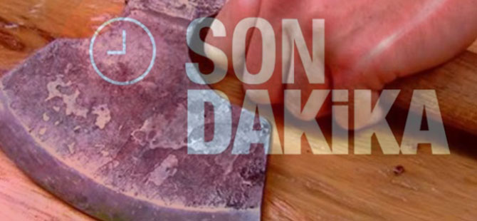 Tartıştığı babasını baltayla öldürdüğü iddiası