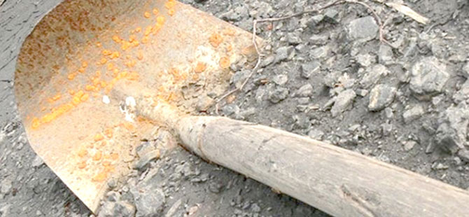 Tartıştığı Babasını Baltayla Öldürdü