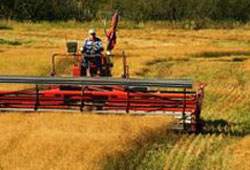 Gıda üretimi tehlikede