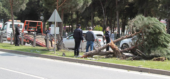 Samsun'da trafik kazası: 2 yaralı