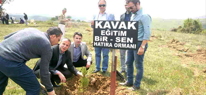 Kavak'ta hatıra ormanı