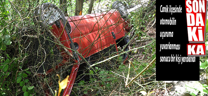 Otomobil uçuruma yuvarlandı: 1 yaralı