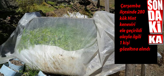 Samsun'da uyuşturucu operasyonu