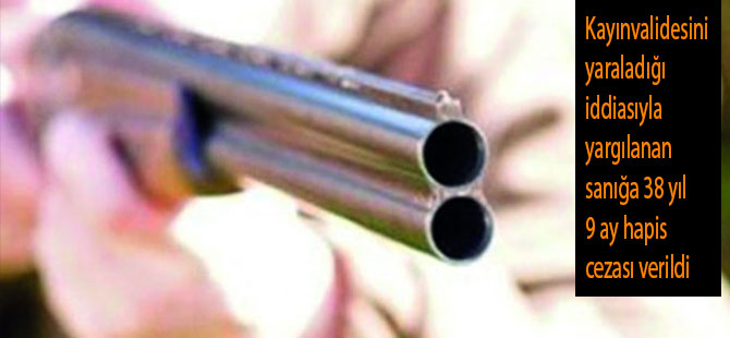 Kayınpederini öldüren sanığa 38 yıl 9 ay hapis