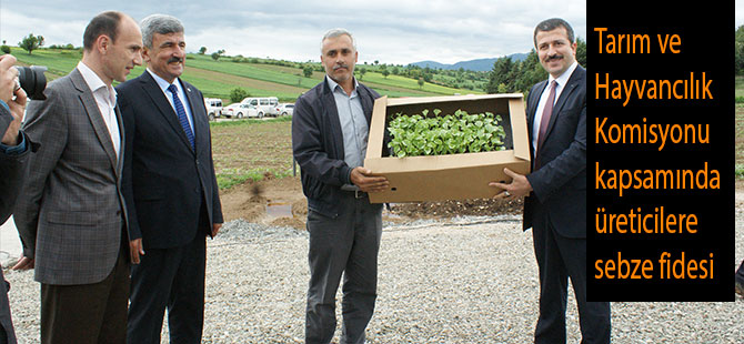 Vezirköprü Belediyesinden üreticilere sebze fidesi