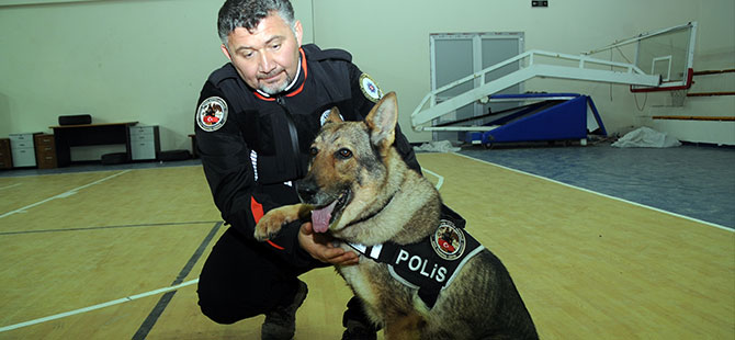 Narkotik şubenin hassas burunları: "Ece" ile "Keita"