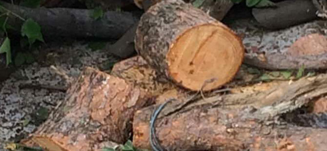 CİNAYET SADECE ADAM ÖLDÜRMEK DEĞİLDİR