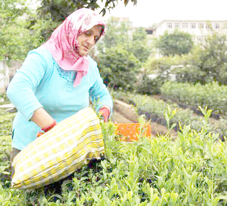 AKCAGÖZ: " KADIN DÜŞMANLIĞI YAPIYORLAR"