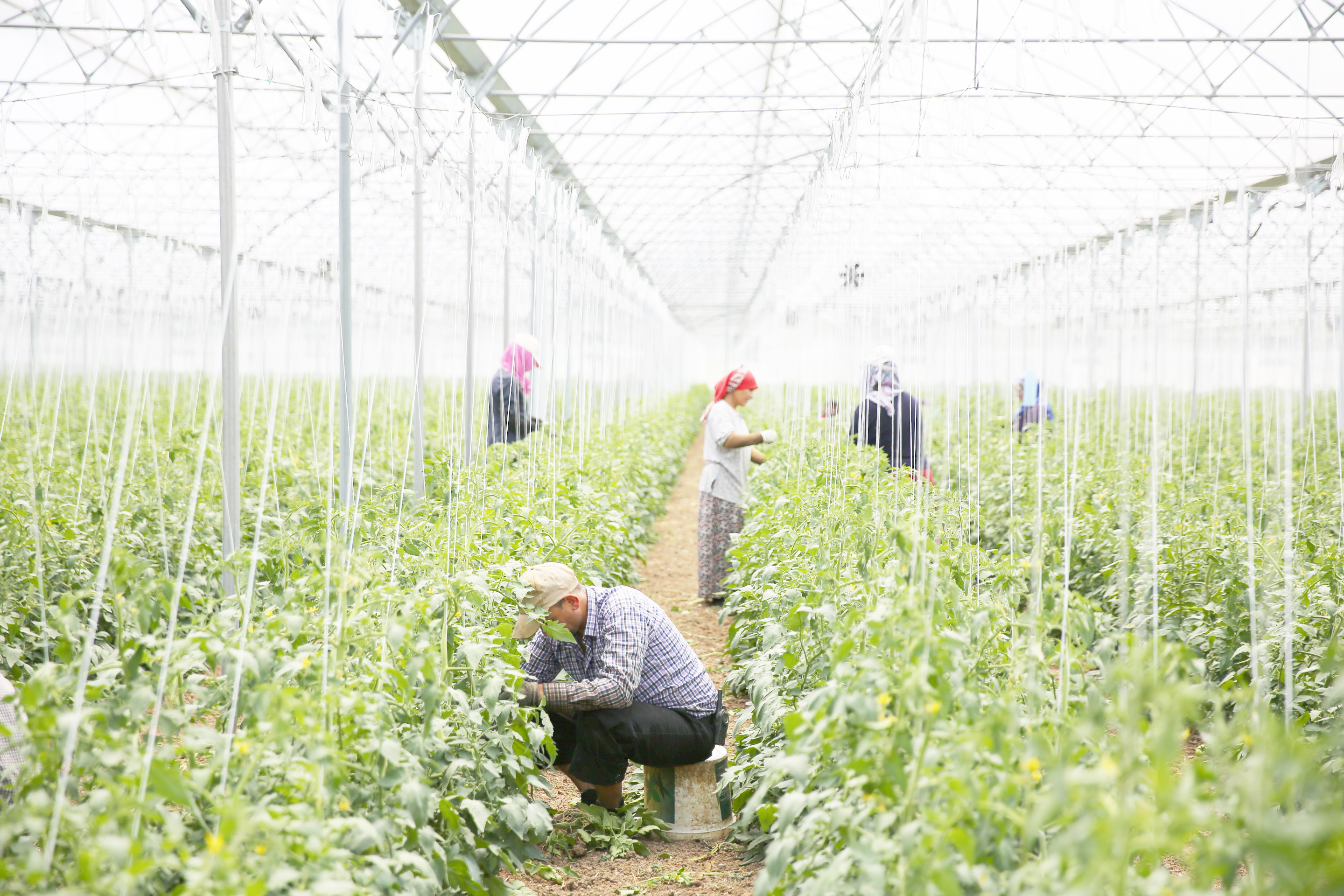 Tarım işçilerinin ramazanda ekmek kavgası