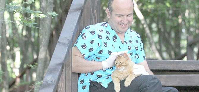 "Kedi Kasabası"nın 800'üncü konuğu "Tekir"