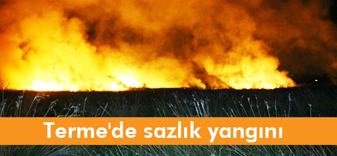 Terme'de sazlık yangını 