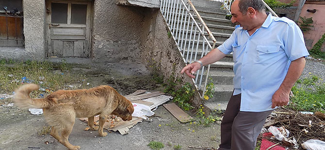 ŞOFÖR KAPTANDAN KÖPEK DUYARLILIĞI