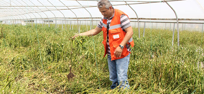 Samsun'daki sağanak