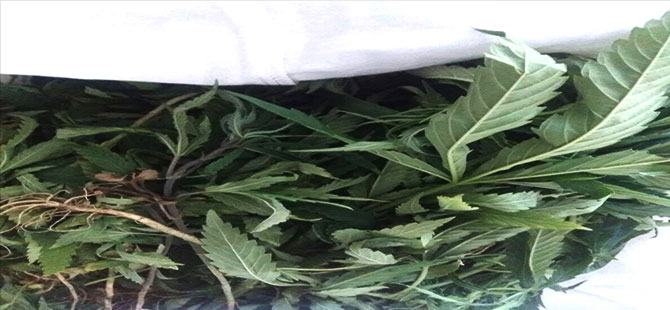 Samsun'da uyuşturucu operasyonu