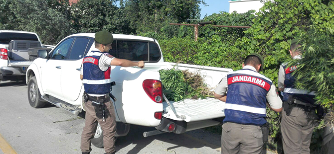 Samsun'da uyuşturucu operasyonu 
