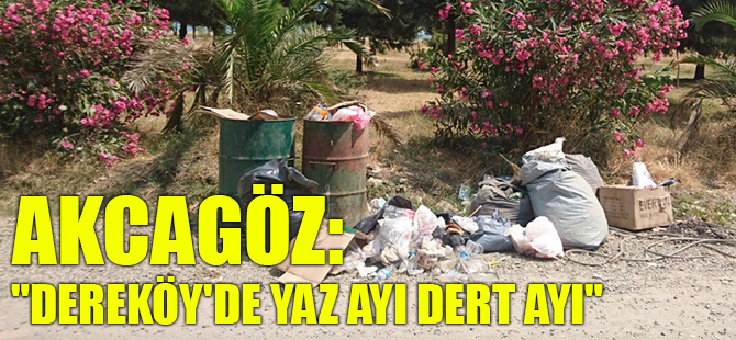 AKCAGÖZ: "DEREKÖY'DE YAZ AYI DERT AYI"