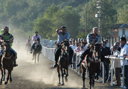 Ünye'de 2. rahvan at yarışları
