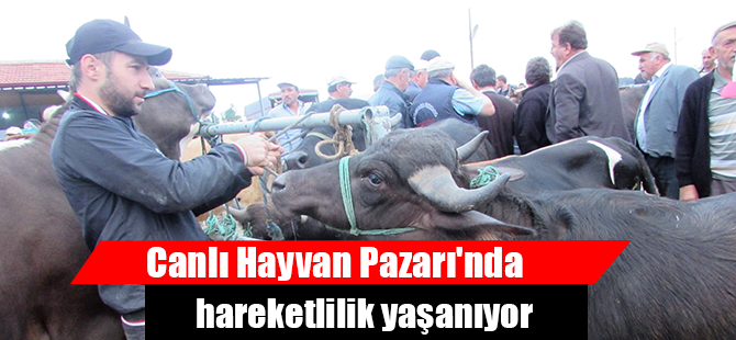 Canlı Hayvan Pazarı'nda hareketlilik yaşanıyor