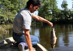 Miliç ırmağında toplu balık ölümleri