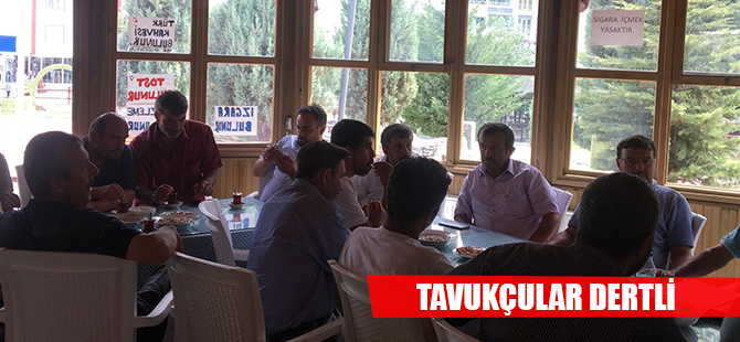 TAVUKÇULAR DERTLİ