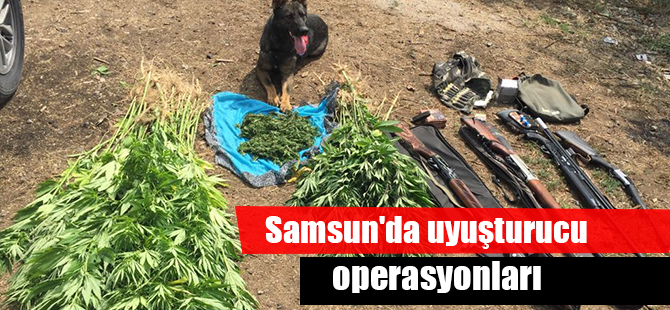 Samsun'da uyuşturucu operasyonları