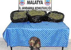 9 ayda 50 kilo esrar ile 211 gram kokain ele geçirildi