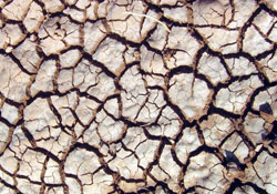 Kuraklık desteği bu ay ödenecek