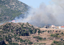 Gazipaşa'da orman yangını