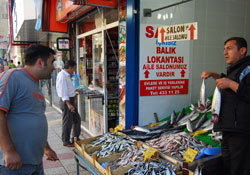 Palamuttan umut kesildi