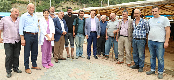 MODERN HAYVAN PAZARI