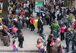 Ekekler ilgi gösterdi