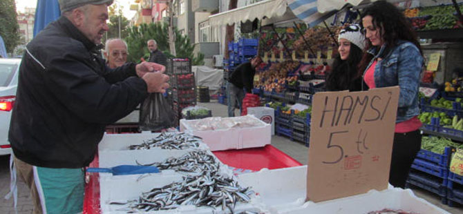 SAMSUN'DA HAMSİ UCUZLADI