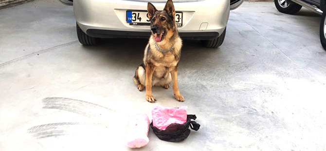 UYUŞTURUCULARI ECE BULDU